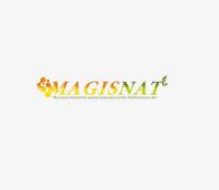 MAGISNAT image 1